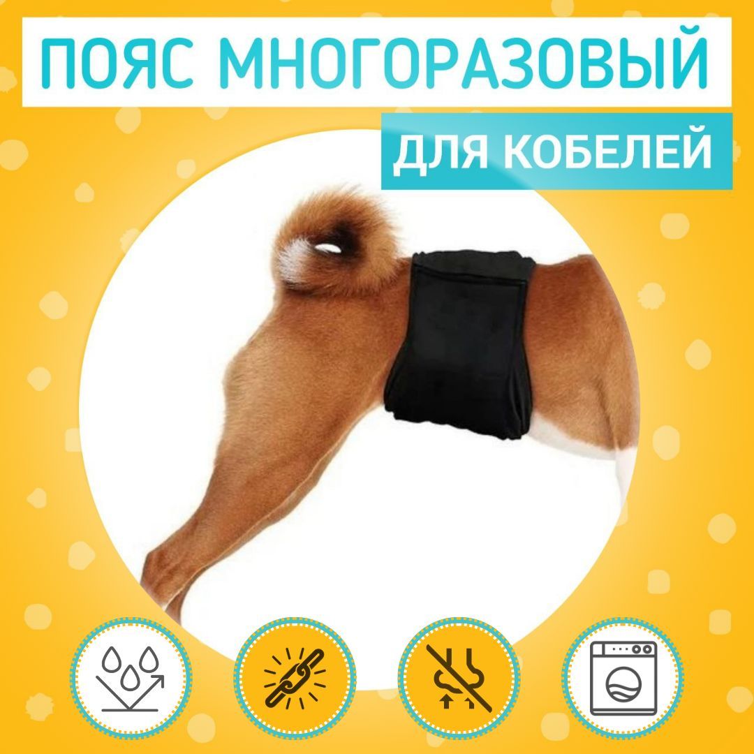 Пояса Для Кобелей Купить В Спб