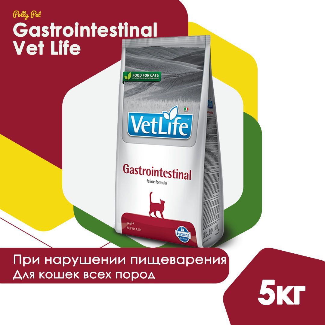 Cухой корм Farmina Vet Life Gastrointestinal для кошек при воспалительных  заболеваниях ЖКТ и в восстановительный период, Фармина Вет Лайф лечебный  рацион со вкусом курицы, 5кг - купить с доставкой по выгодным ценам в  интернет ...