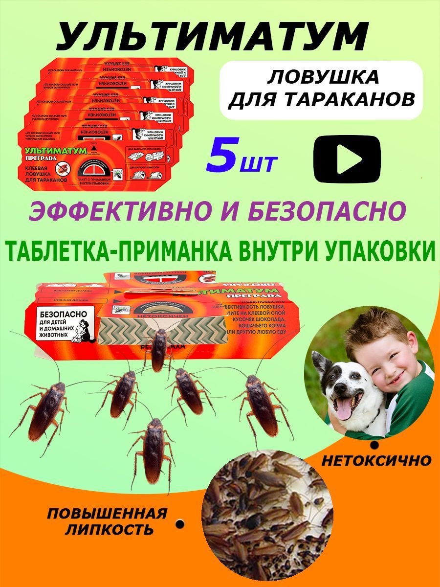 Клейкий домик-ловушка для тараканов Джеб: заказать в Украине по отличной цене