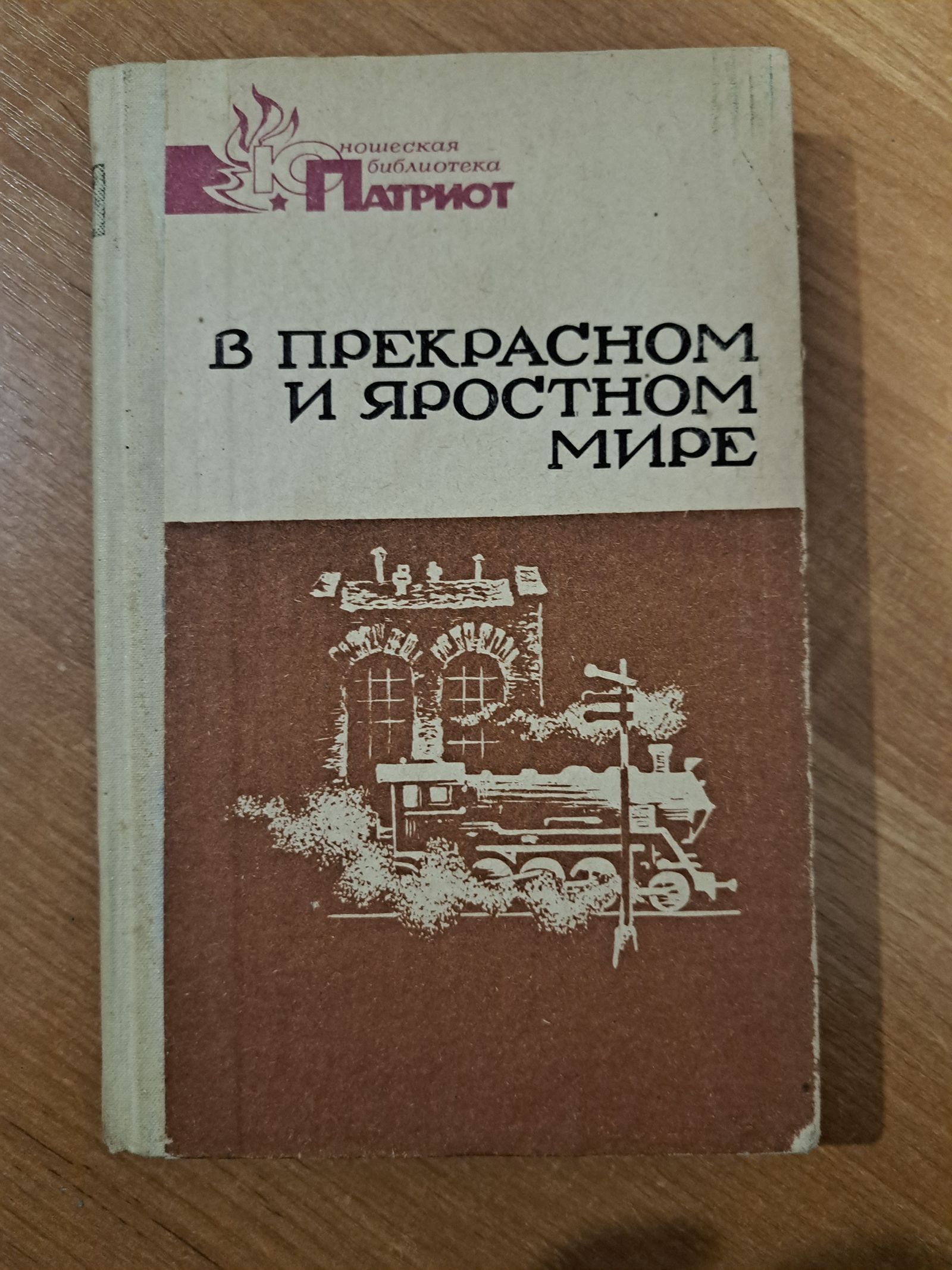 Сюжетная линия в прекрасном и яростном мире. В прекрасном и яростном мире. В прекрасном и яростном мире книга.