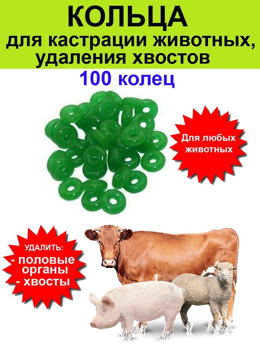 ПРОТИВОЗАЧАТОЧНОЕ КОЛЬЦО - УДОБНОЕ СОВРЕМЕННОЕ СРЕДСТВО КОНТРАЦЕПЦИИ ДЛЯ ЖЕНЩИН.