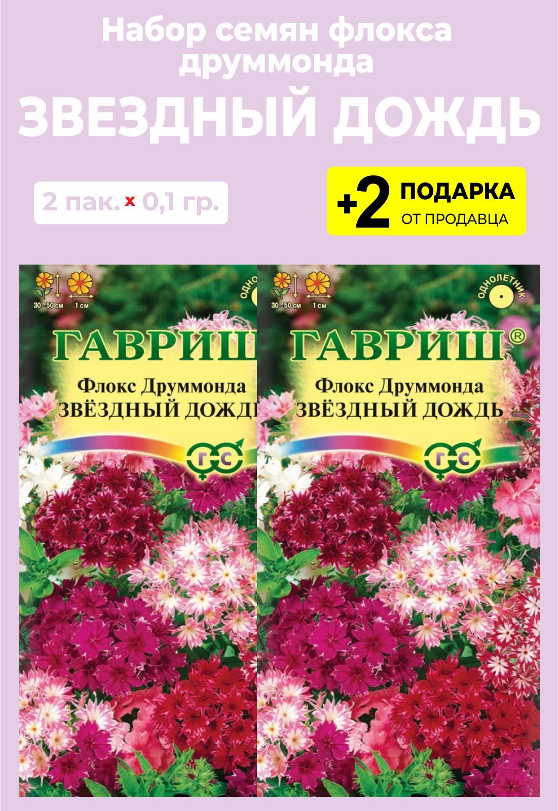 Флоксы Однолетние Купить Семена