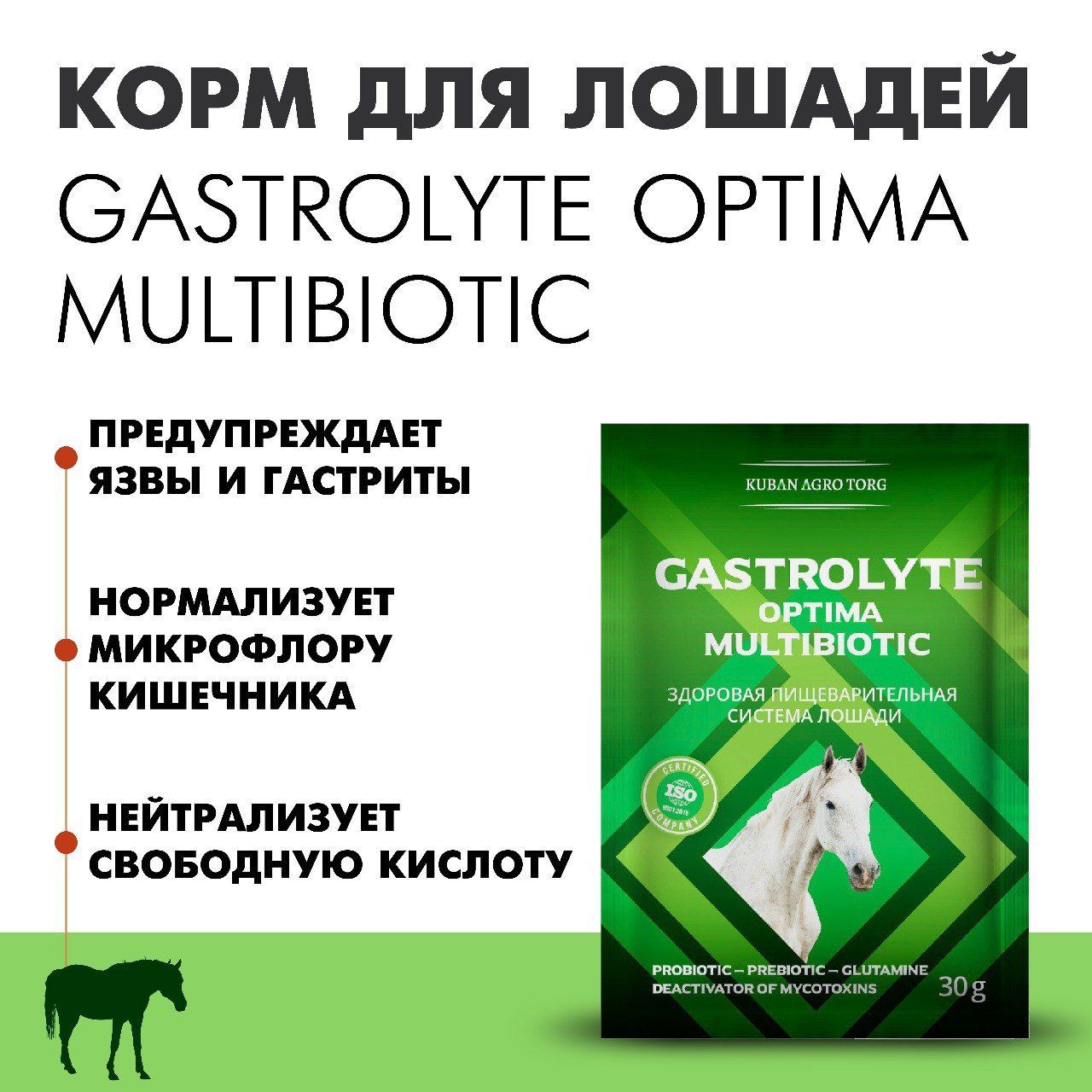 GASTROLYTE OPTIMA - Мультибиотик для лошадей - купить с доставкой по  выгодным ценам в интернет-магазине OZON (1033884579)