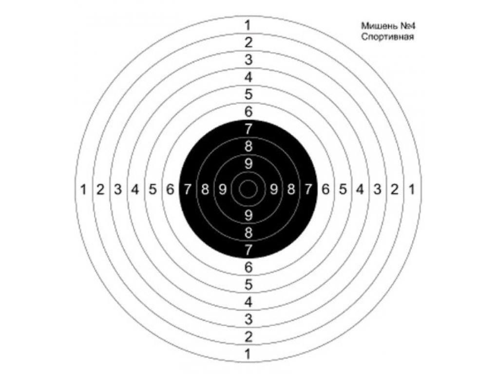 Картинка мишень для стрельбы из пневматики
