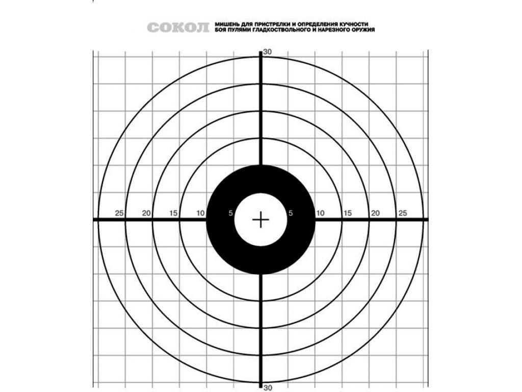 Мишень на 100 м распечатать а4. Пристрелочная мишень на 100 метров. Мишень для пристрелки нарезного оружия на 50 метров. Пристрелочная мишень для карабина на 100 метров. Мишень пристрелочная а4 50 метров.