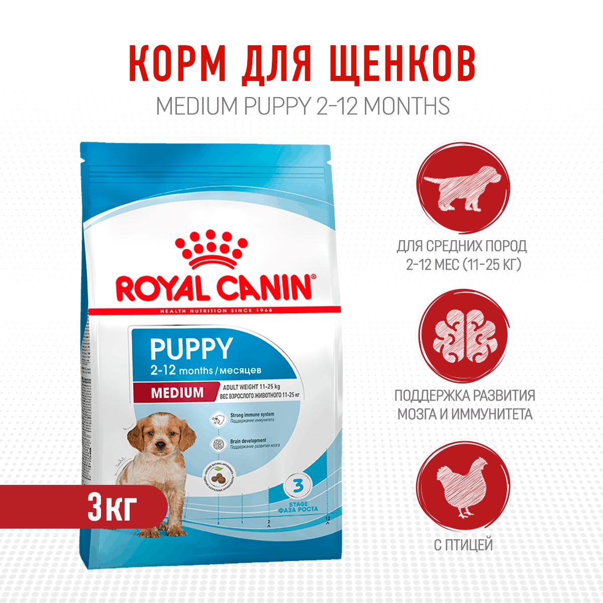 Royal canin clearance medium junior