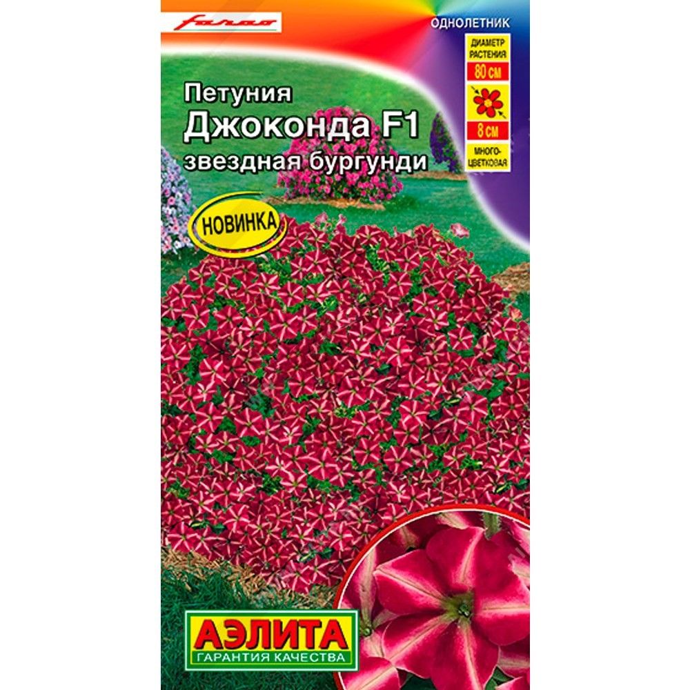петуния джоконда f1. петуния джоконда звездная бургунди. петуния 'stars: yellow-violet'. аэлита петуния джоконда f1 звездная. петуния мультифлора май джой еллоу бронз ред.