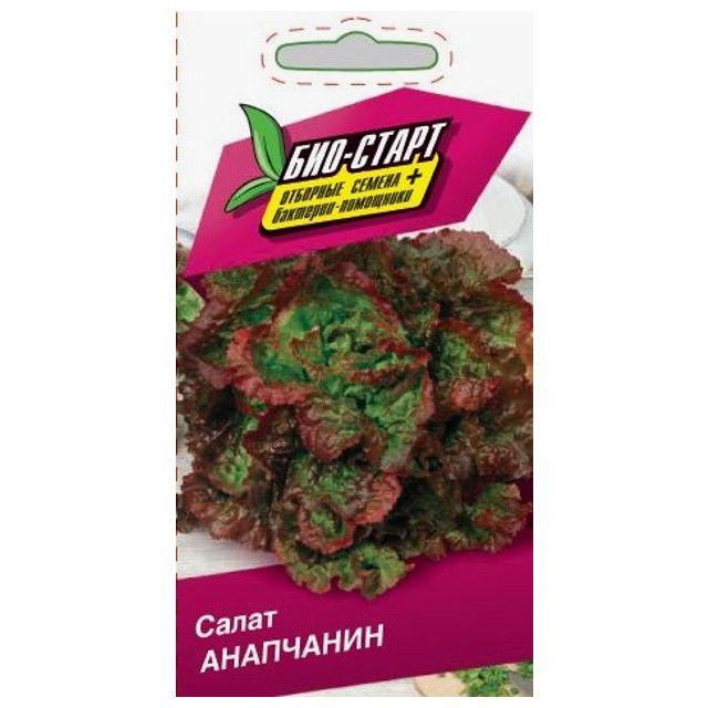 Семена ваше хозяйство био старт адрес магазина. Ранняя капуста старт. Сорта моркови без сердцевины сочные сладкие крупные лучшие. Огурец зозуля f1 партенокарпический раннеспелый. Огурец зозуля f1.