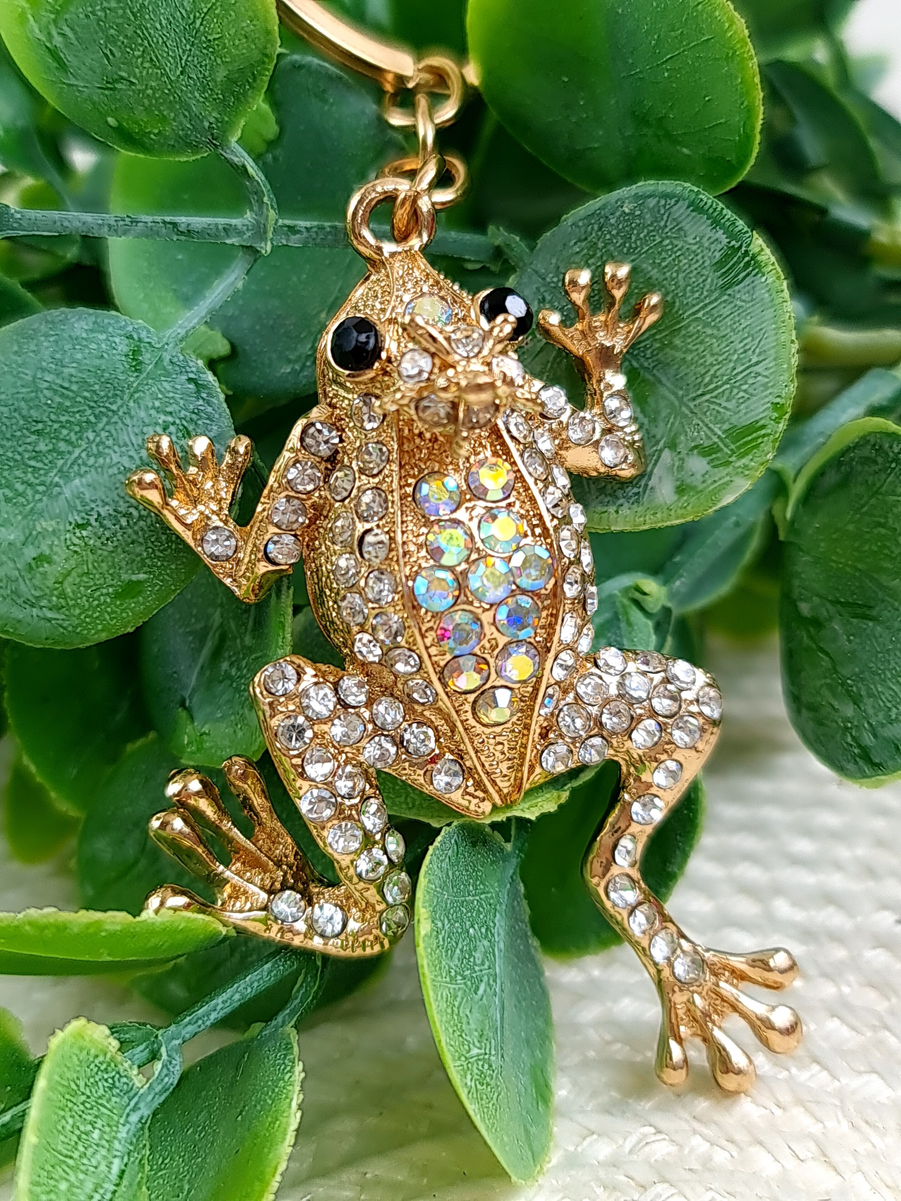 оригинал лягушки. лягушка ануранов. милые лягушки. лягушка керамическая для губки. оригинал лягушки.