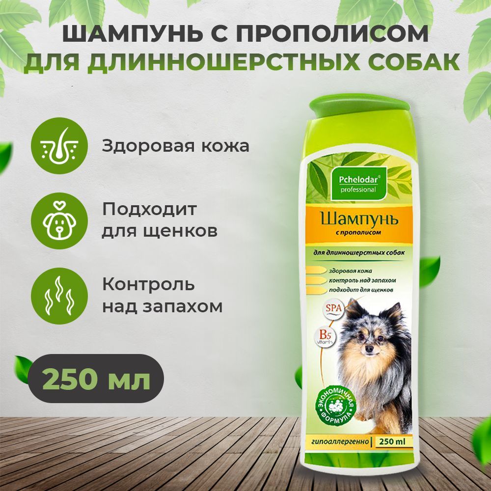 Шампунь для собак профессиональный. Шампуни животных для людей. Шампуни животных для людей. Шампунь для животных. Шампунь для животных этикетка.