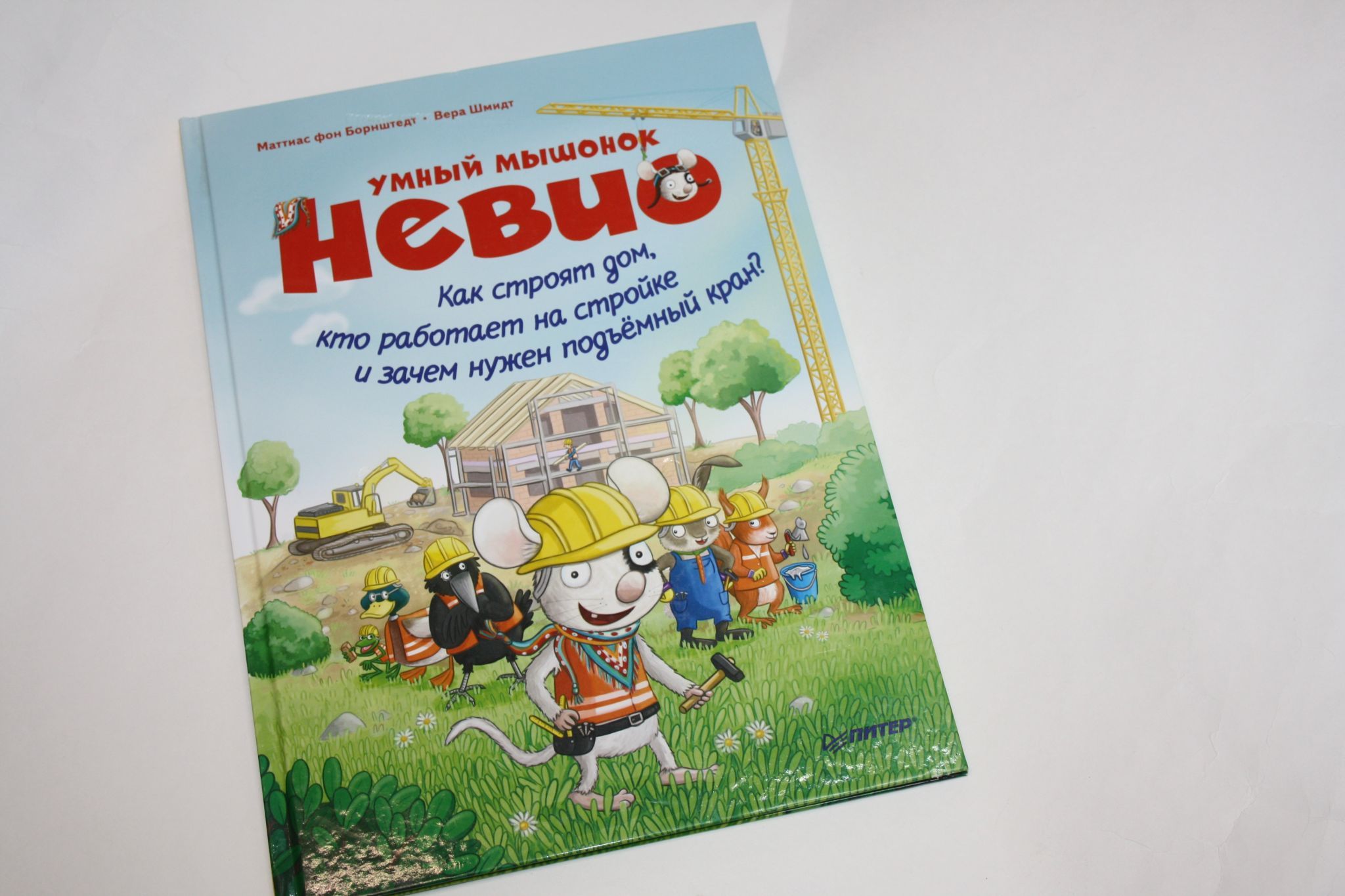 Умный мышонок Невио. Как строят дом, кто работает на стройке и зачем нужен  подьемный кран? | Шмидт В., фон Борнштедт Маттиас - купить с доставкой по  выгодным ценам в интернет-магазине OZON (1088098764)