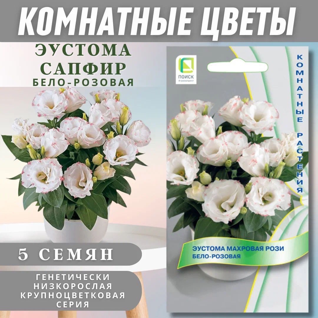 Эустомы ПОИСК Агрохолдинг HomeFlower_белый_светло-розовый_зеленый - купить  по выгодным ценам в интернет-магазине OZON (1097253006)