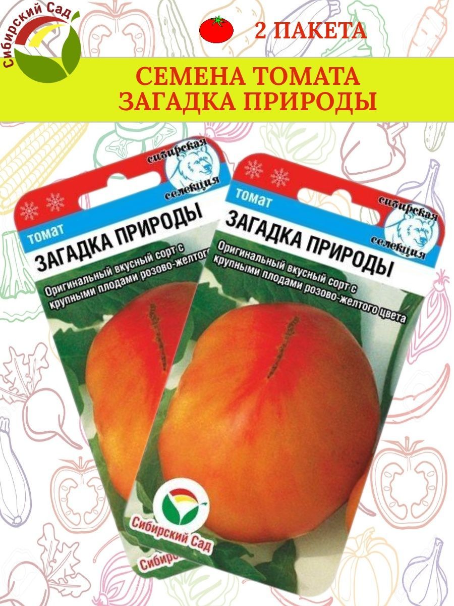 Сорт томата загадка природы отзывы. Томат загадка. Томат загадка природы. Ребус томат. Томат загадка пересорт.