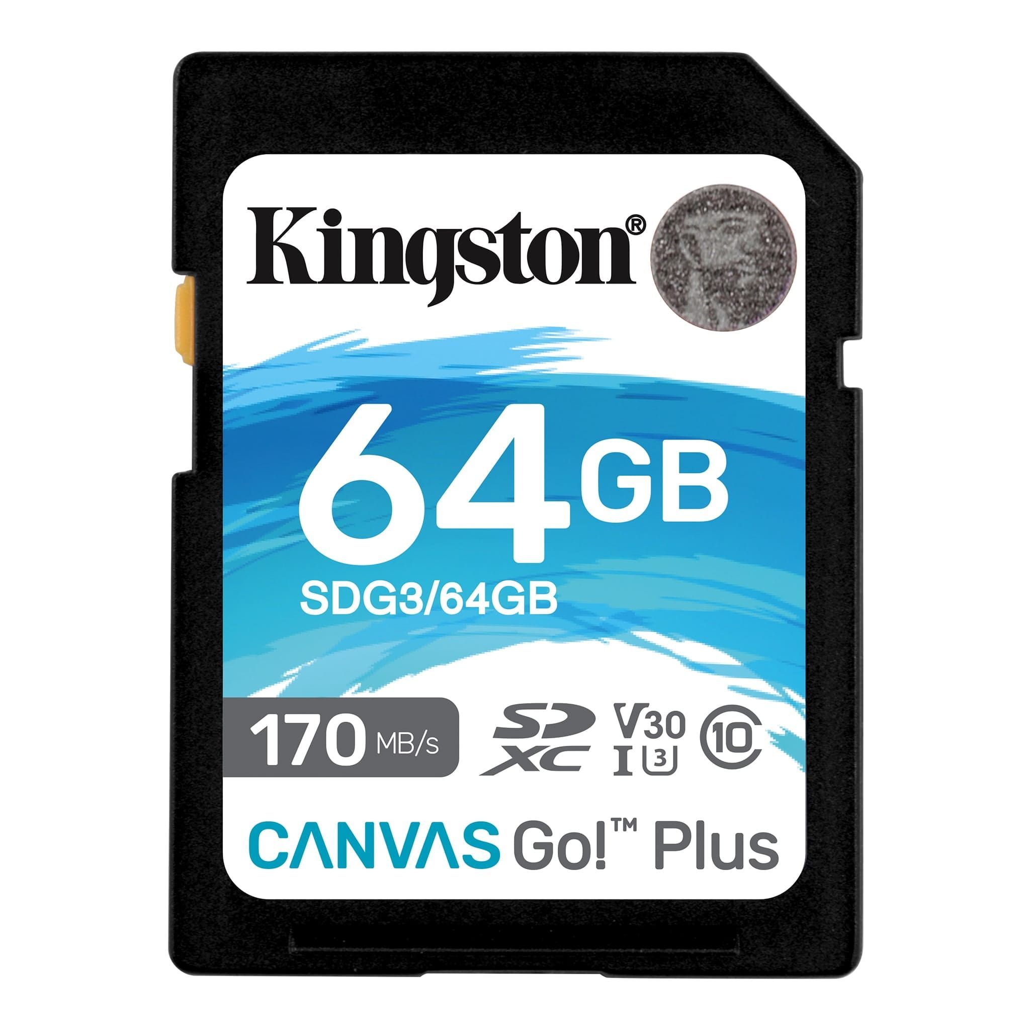 KingstonКартапамятиCanvasGOPlus64ГБ(SDG3/64GB)