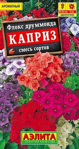 Семена Флокс Каприз, смесь сортов