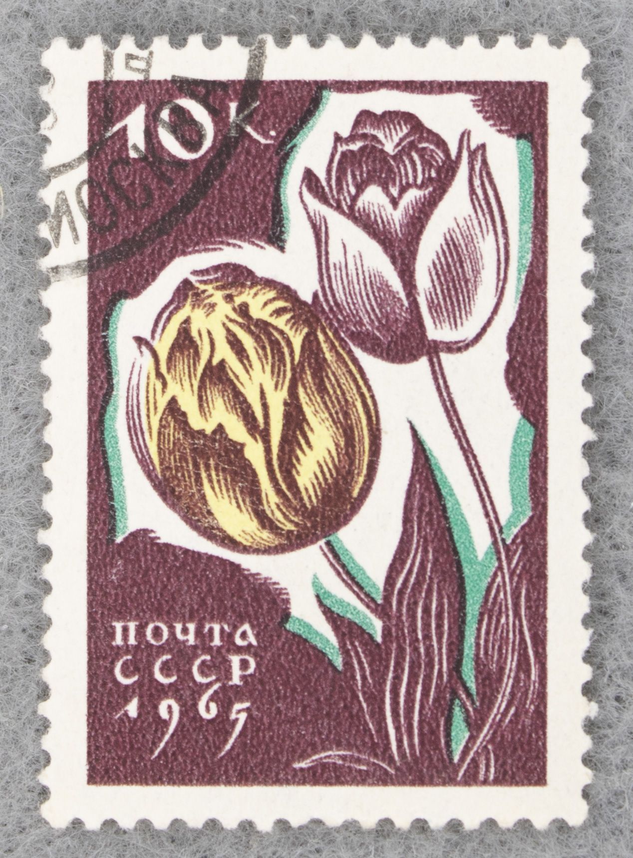 Цветы ссср