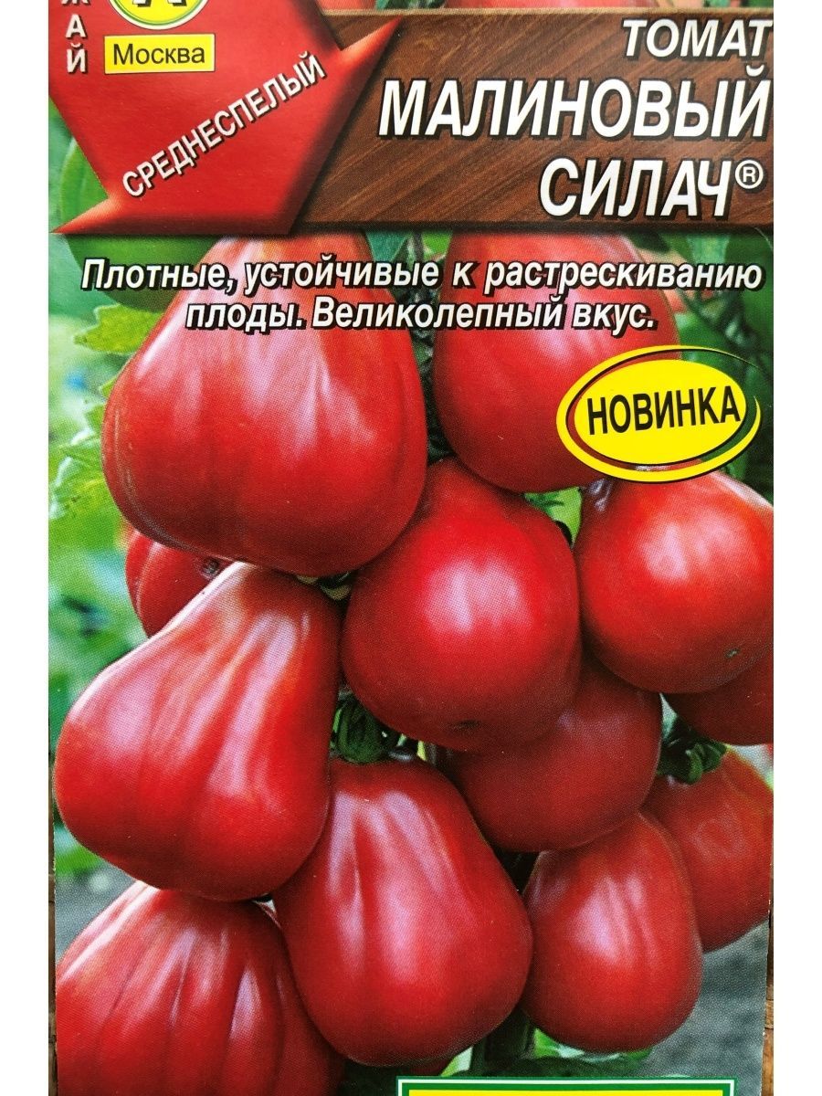Сорт Томатов Малиновый Слон Отзывы Фото