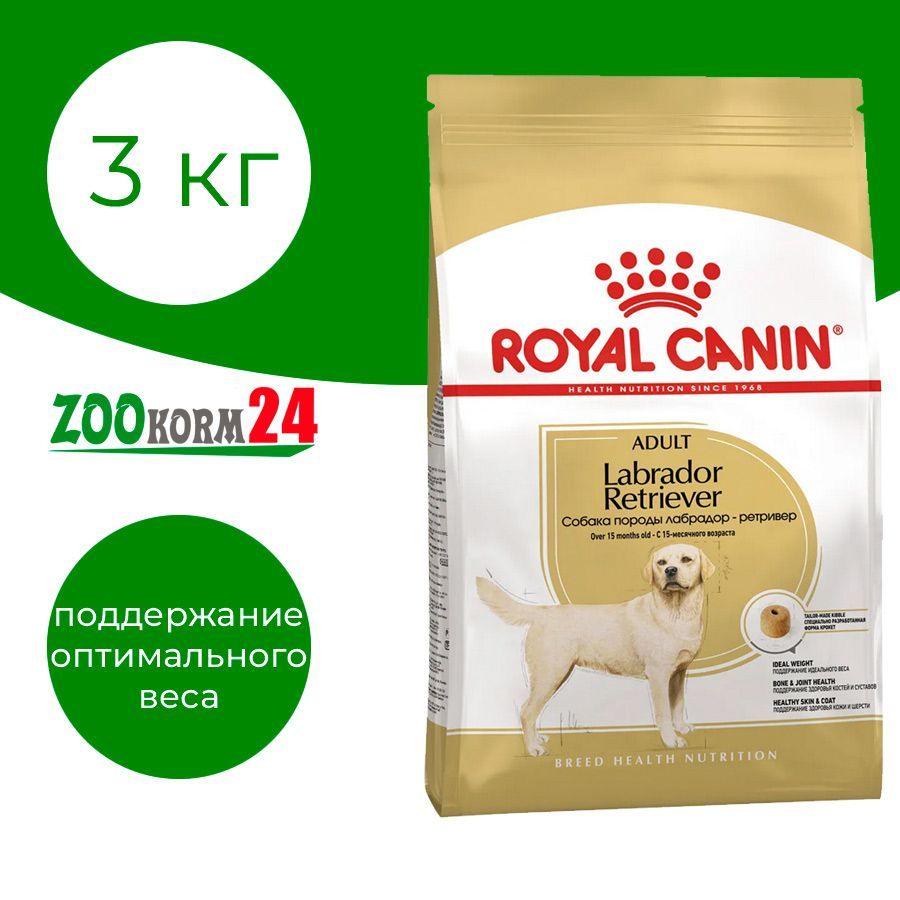 Royal canin best sale labrador adult