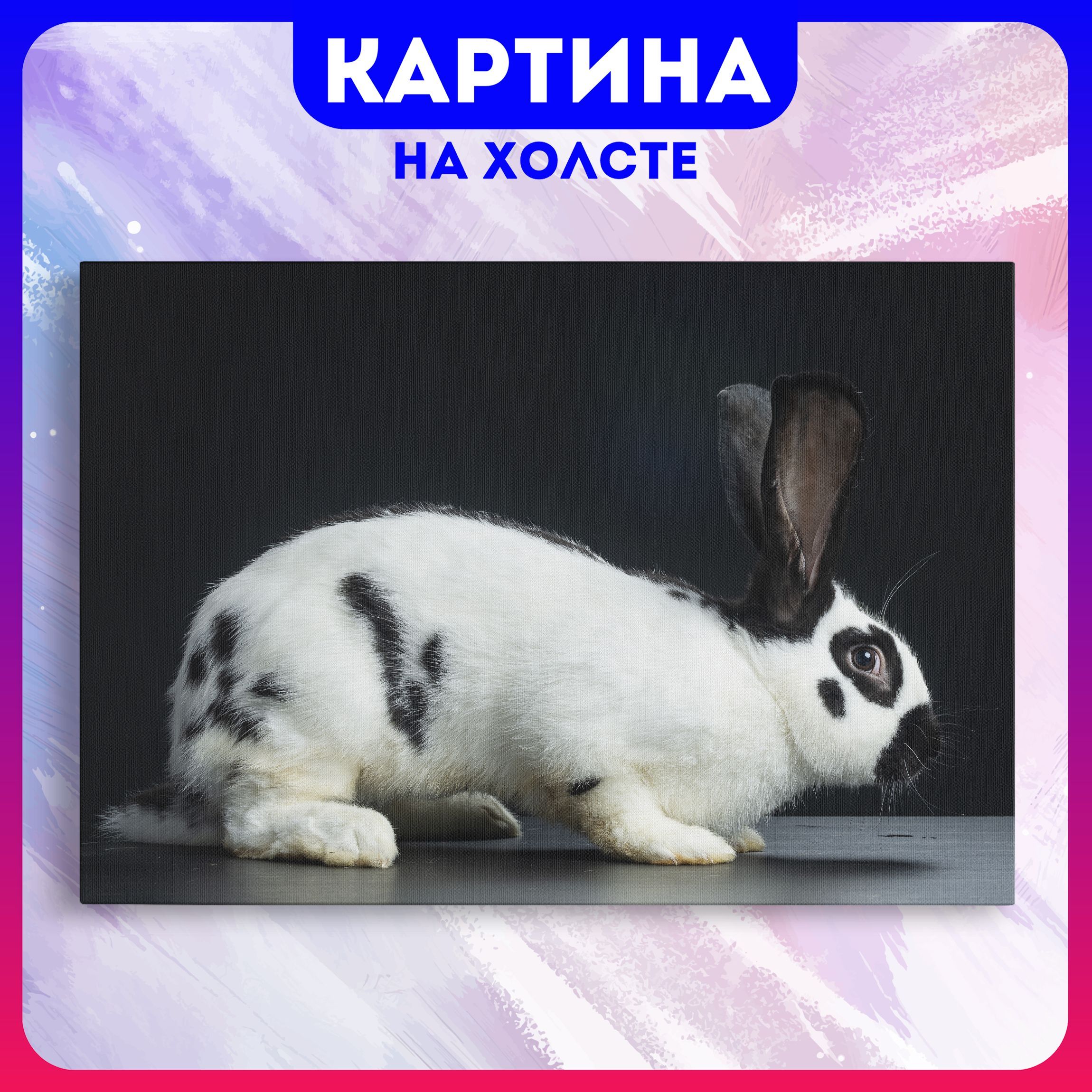 Картина на холсте Кролик милые животные природа (13) 40х60 см - купить по  низкой цене в интернет-магазине OZON (1213033971)