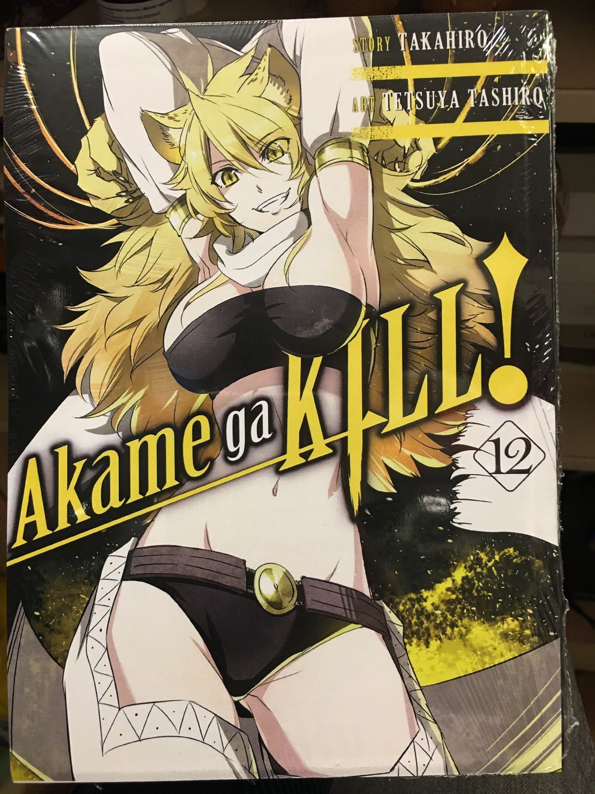 Убийца Акаме! (Akame ga KILL!) . Том 12. На русском языке - купить с  доставкой по выгодным ценам в интернет-магазине OZON (1225465791)