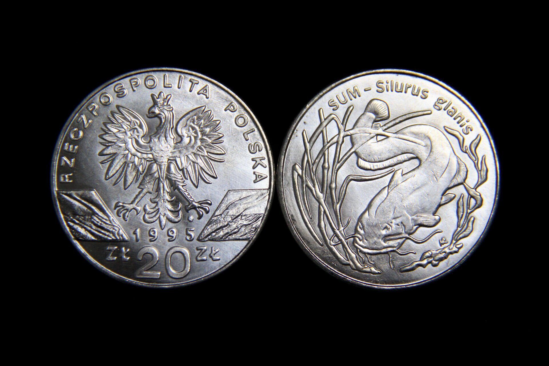 2 злотых 1995 польша сом (sum). 200 сом монета. Польские злоты. Злотых к сом. 100 польских злотых.