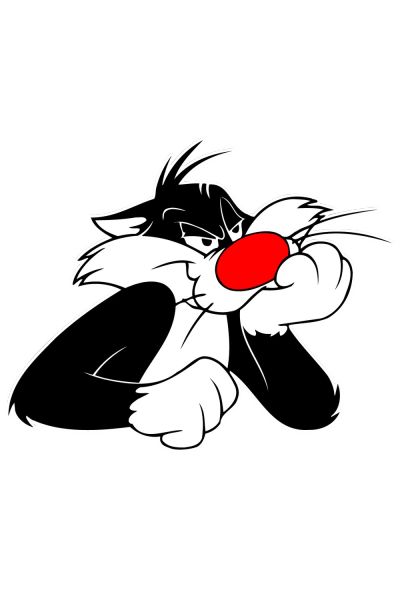 Сильвестр кот