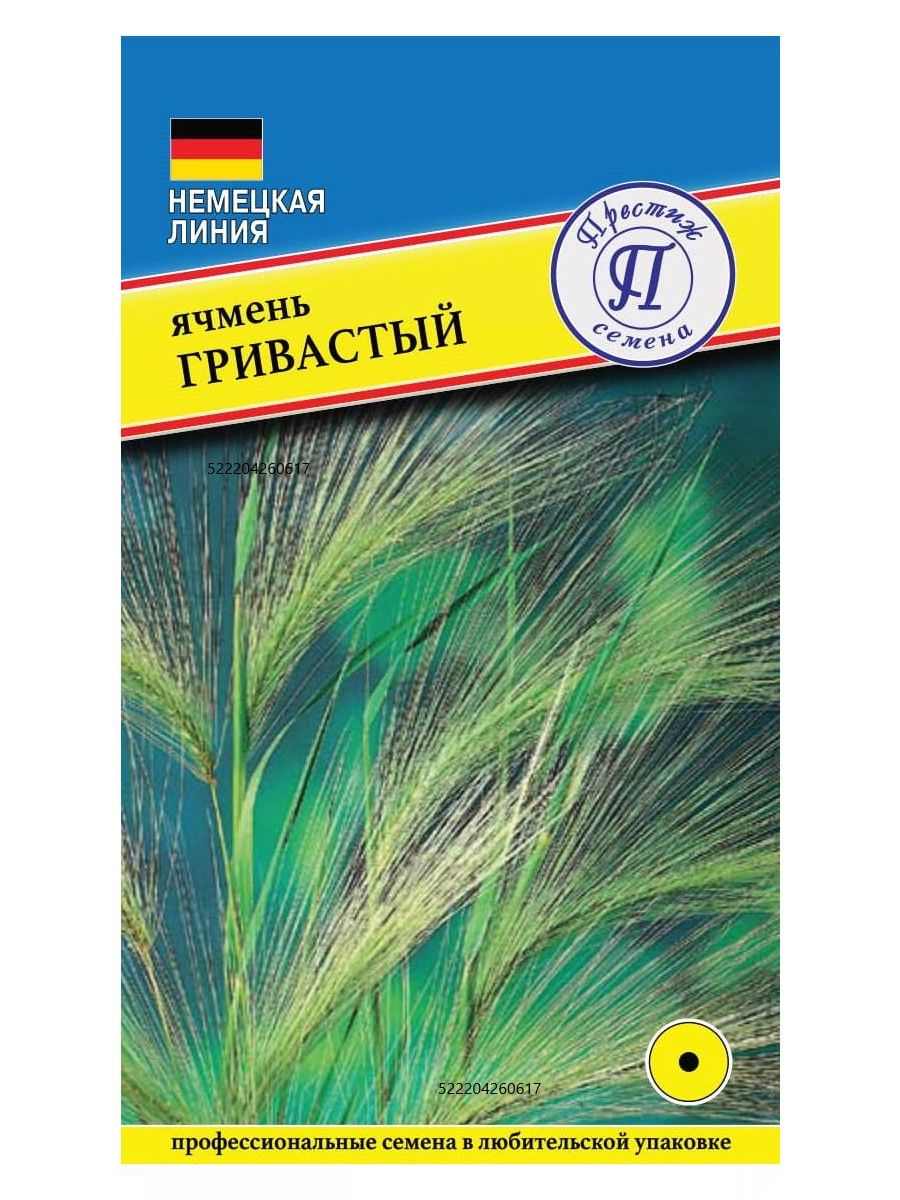 Ячмень гривастый семена. Ячмень гривастый (Престиж). Декоративный ячмень гривастый. Ячмень гривастый листья.