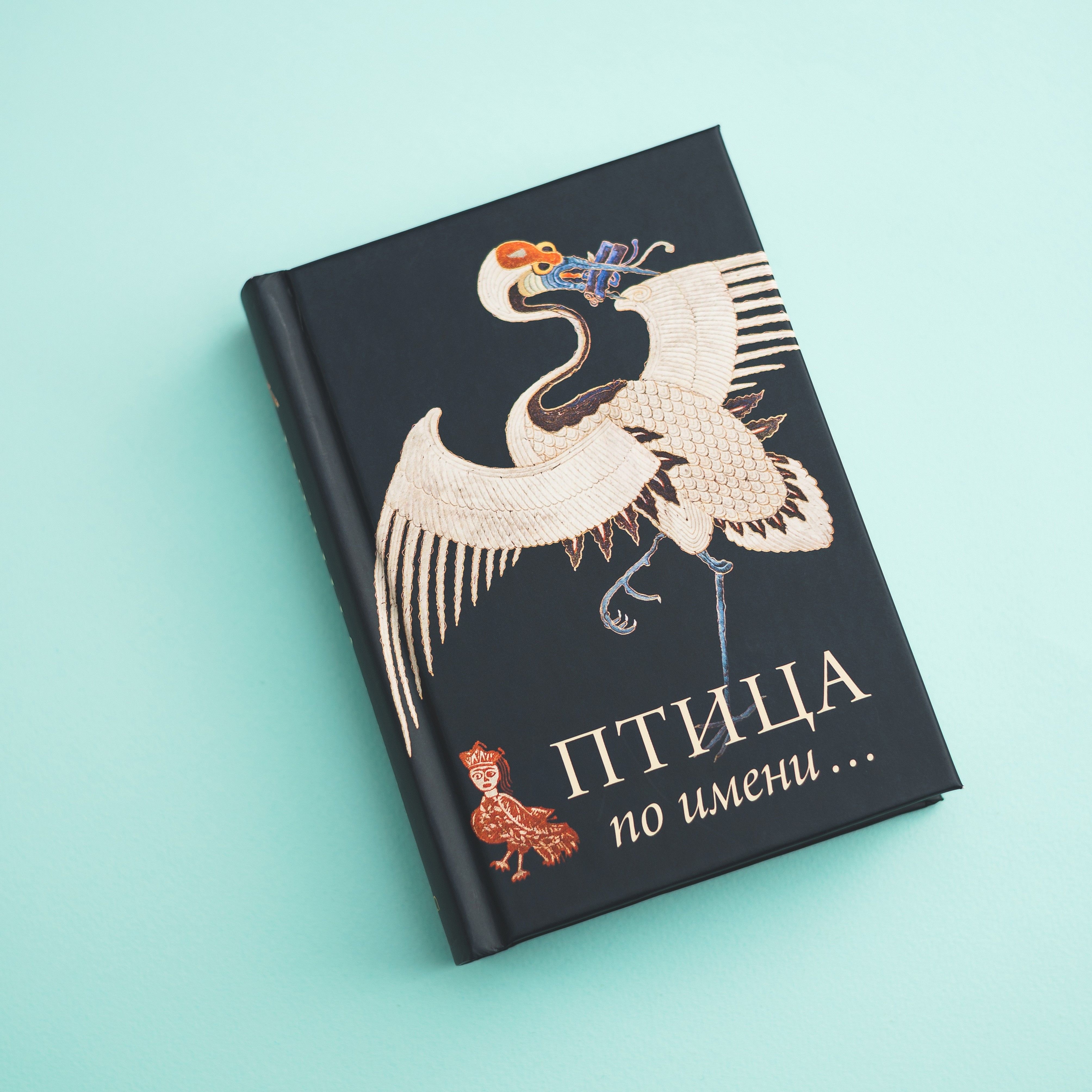 Книга Птица по Имени | Стрельцова Е. М.