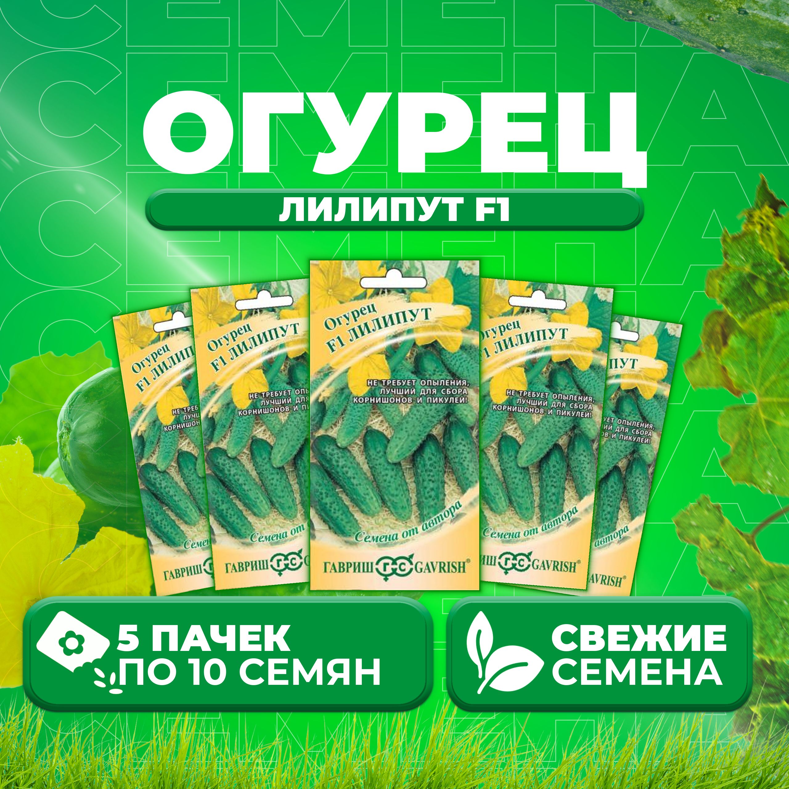 Огурец Лилипут F1 Отзывы Фото