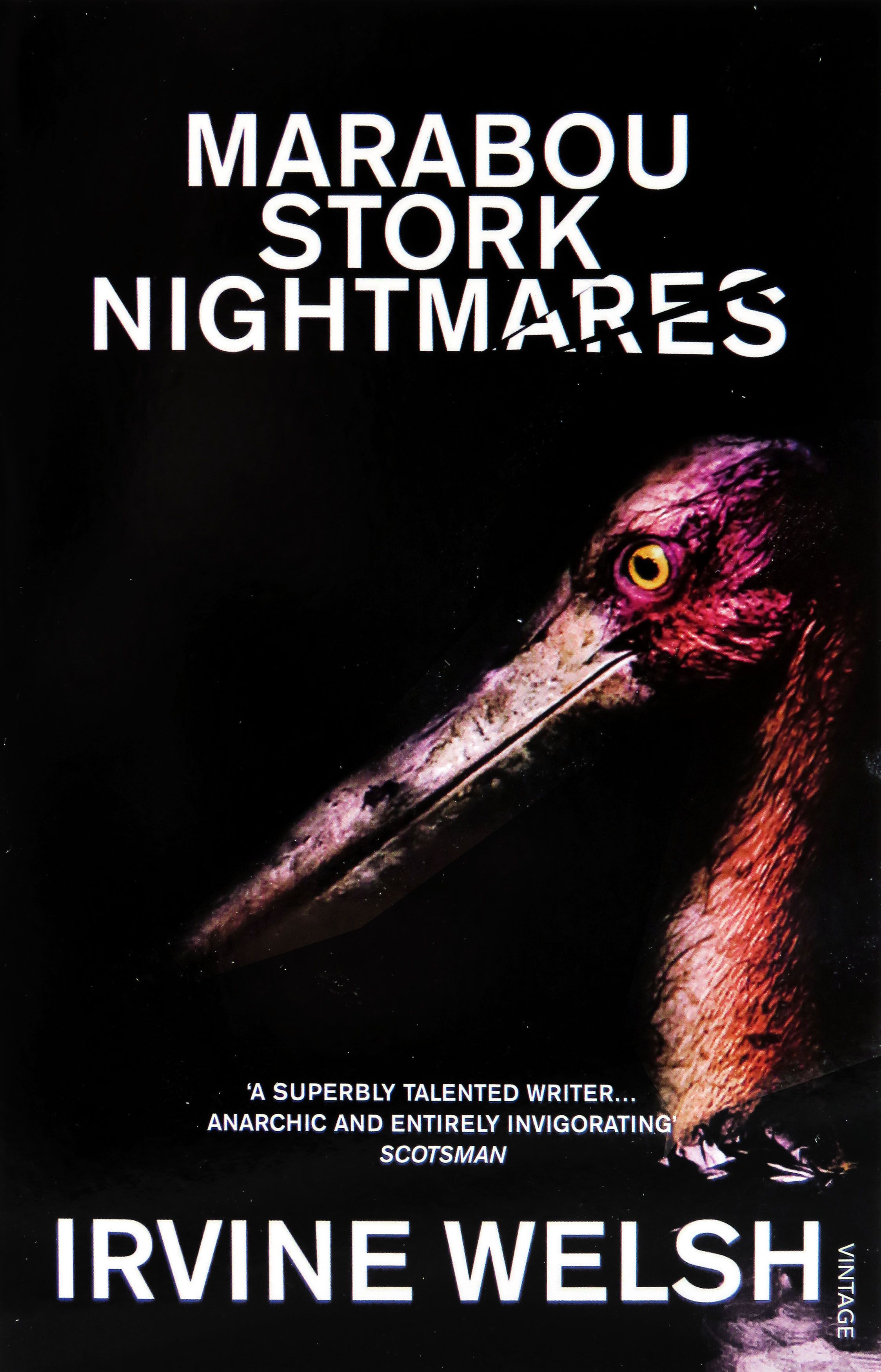 Marabou Stork Nightmares | Welsh Irvine, Уэлш Ирвин