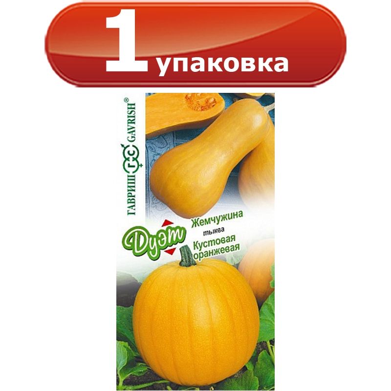 Тыква Жемчужина Фото