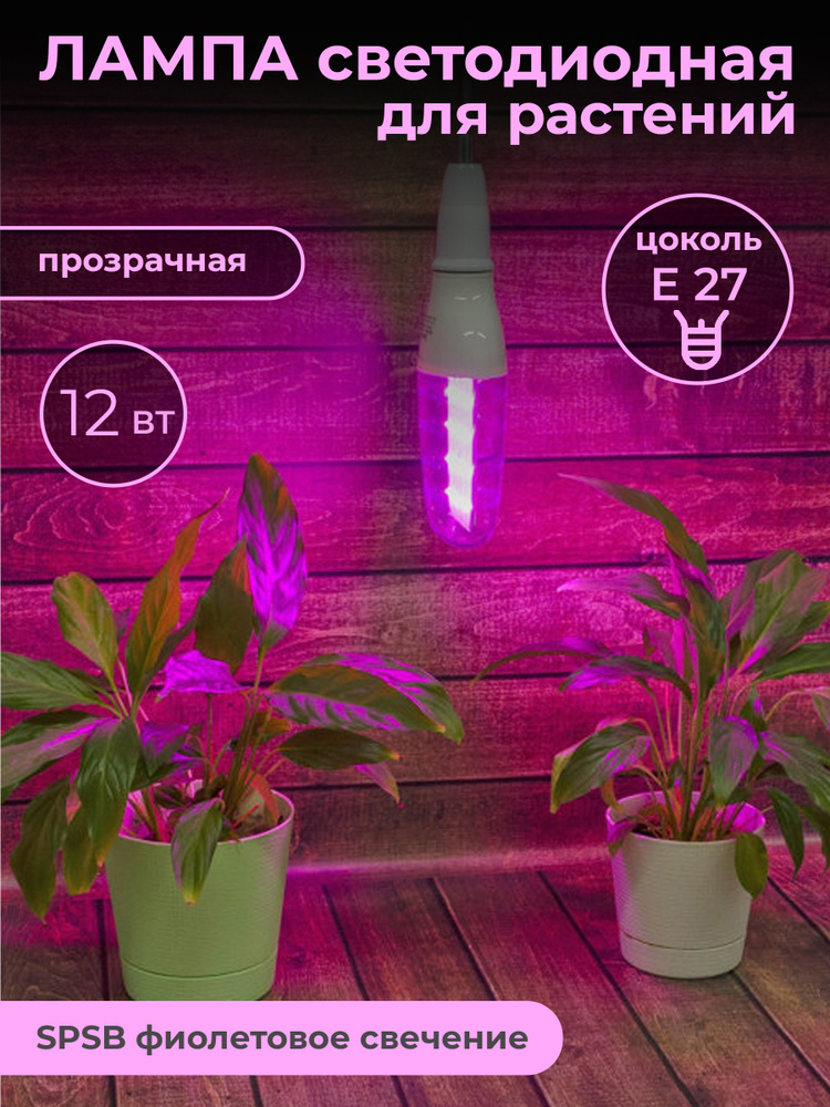 Лампа для цветов фиолетовая купить доставка цветов спб недорого круглосуточно выборгский район