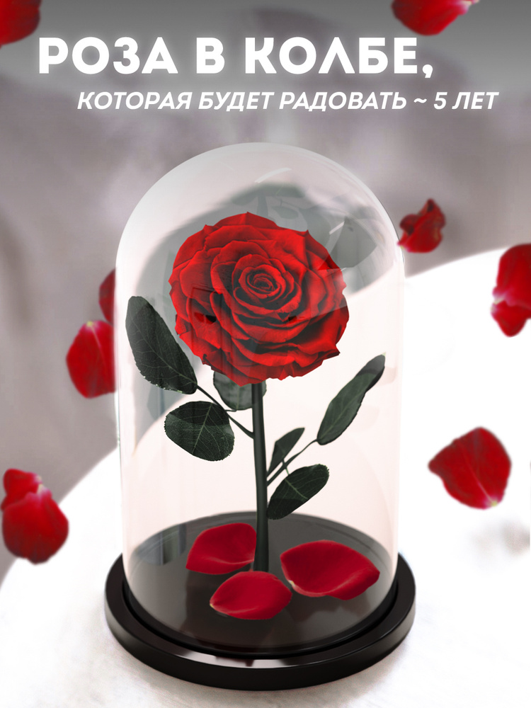 Долговечная роза в колбе Premium, цветы, подарочный набор-букет для женщины, подарок на день рождения, #1