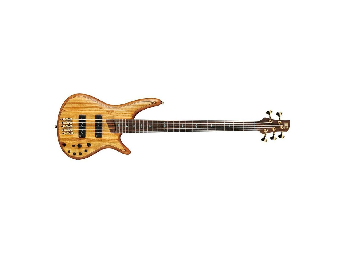 ibanez sr1205 premium bass