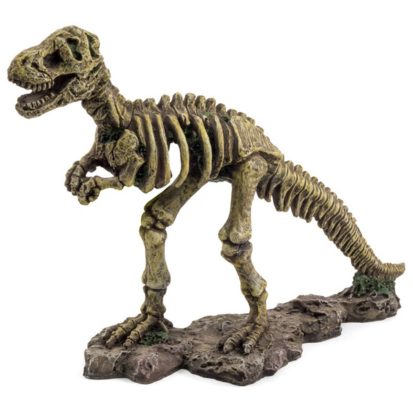Грот Скелет T-Rex - купить с доставкой по выгодным ценам в интернет ...