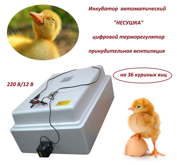 Инкубатор автоматический "Несушка" на 36 яиц, 220 В/12 В, цифровой ...