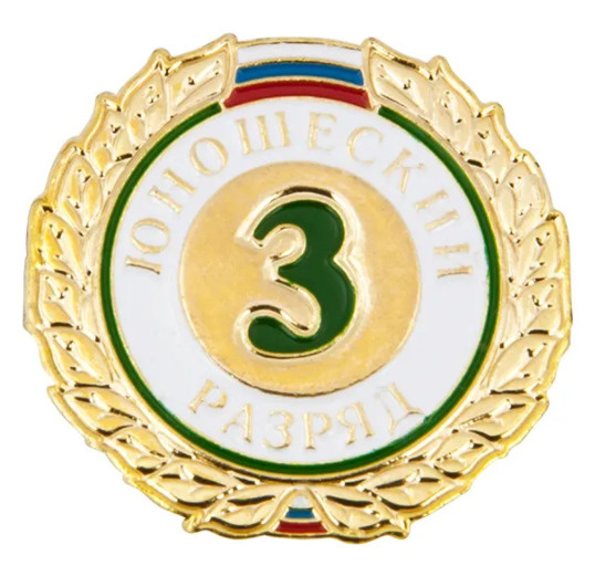(2 шт. комплект) Значок, знак 3 юношеский разряд, знак спортивного ...