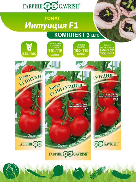 Томат интуиция характеристика сорта фото отзывы