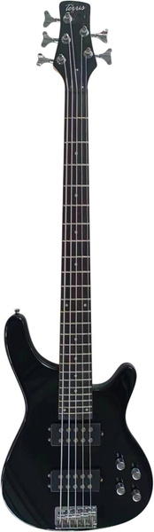 TERRIS THB-43-5 BK Бас-гитара 5 струн купить на OZON по низкой цене ...