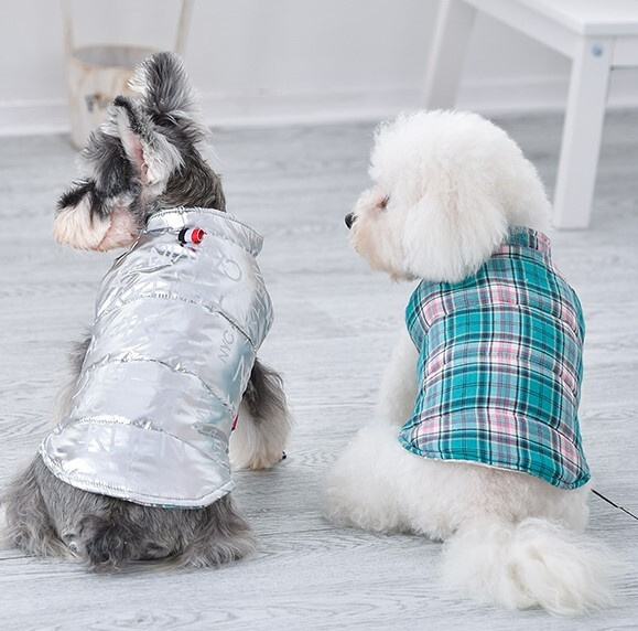 Модный интернет магазин одежды для собак