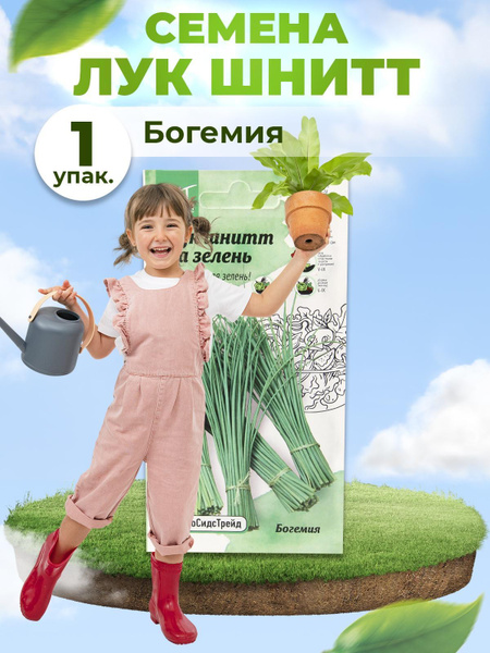 Лук АгроСидсТрейд Богемия - купить по выгодным ценам в интернет ...