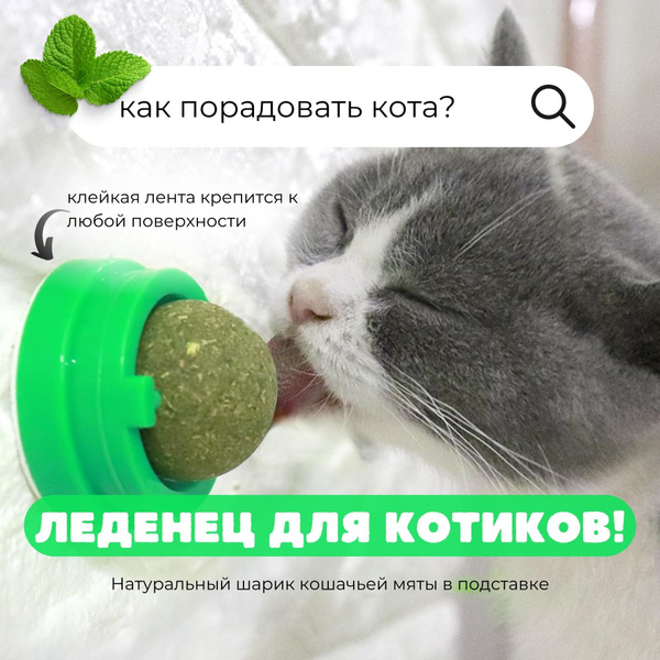 Кошачья мята в шарике на стенку