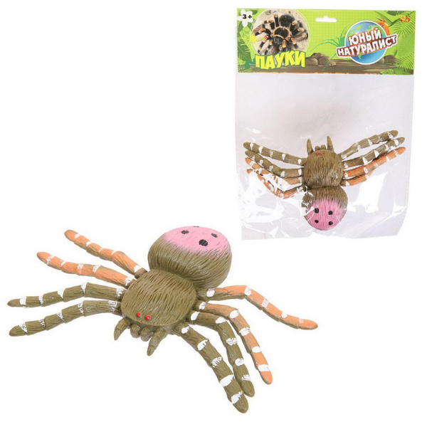Фигурка Abtoys Юный натуралист Паук зелено-розовый с черно-белым ...