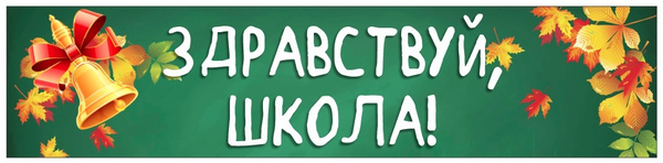 Баннер "Здравствуй, школа" Большой 6 х 1,4м 1 шт - купить с доставкой ...