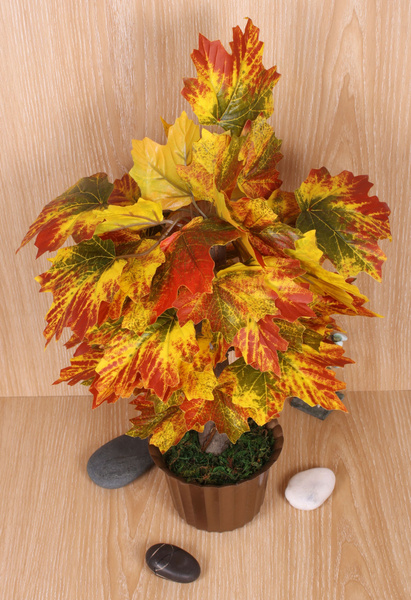 Купить Искусственное дерево / Осенний клен бонсай / В горшках / В кашпо ...