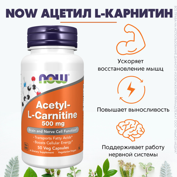 NOW Ацетил L-Карнитин 500 мг (NOW ACETYL L-CARNITINE 500 mg) - купить с ...