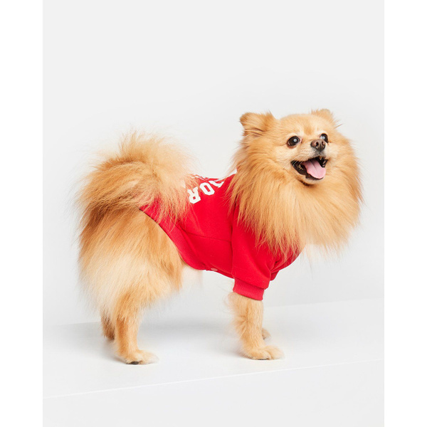 Толстовка для собак Zoozavr красная 45 - купить с доставкой по выгодным ...