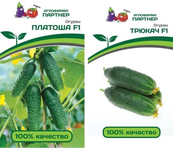 Огурцы Агрофирма Партнер н-р огурц партнёр 2п - купить по выгодным ...
