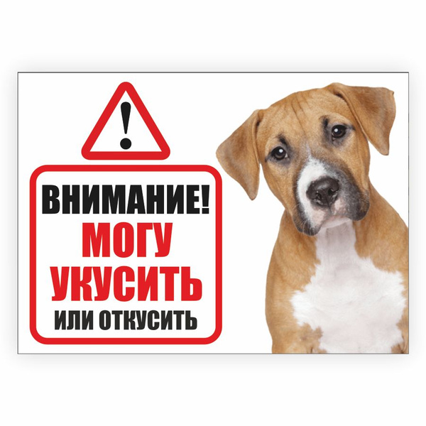 Табличка, осторожно злая собака, прикол, на дверь, на забор, 25 см, 18 ...