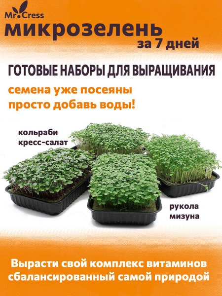 Микрозелень. Набор для проращивания /Mr.Cress/ Семена микрозелени, 4 ...